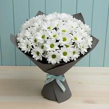 Букет цветов из:  Хризантемы #REPLACE_PRED# Губастово