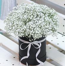 Цветочная композиция из Гипсофила в шляпной коробке #REPLACE_PRED# Губастово