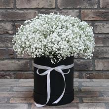 Цветочная композиция из Гипсофила в шляпной коробке в Губастово