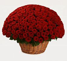 Премиум букет из: Розы в Губастово