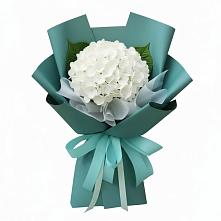 Букет цветов из:  Гортензия #REPLACE_PRED# Губастово